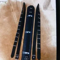 هیکلی علم کشی