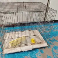 قفس پرنده