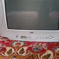 تلویزیون