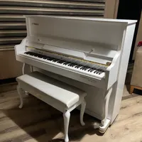 Piano spk|پیانو، کیبورد، آکاردئون|تهران, پونک|دیوار