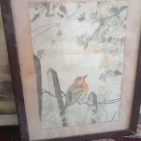 فروش دو عد قاب عکس