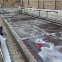 قالیشویی ومبل شویی امیرعلی (سرویس رایگان)