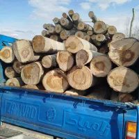 خرید و فروش چوب باغات  چوب گردو چوب سپیداروضایعات