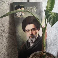 عکس رهبری