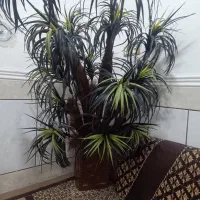 گلدان مصنوعی