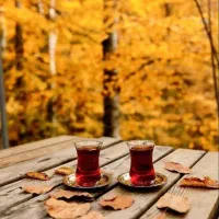 فروش سیم کارت رند