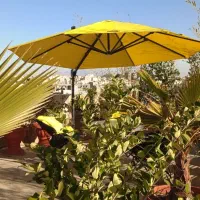 رهن-و-اجاره-مغازه