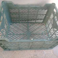 سبدسیب عمده