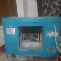 کولرابی