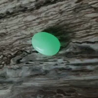 گوهر شب چراغ