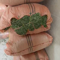 گندم و یونجه