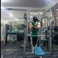 راهنمایی برنامه غذایی و ورزشی بدنسازی