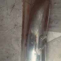 گلگیر جلو و خطر عقر
