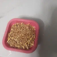 گندم