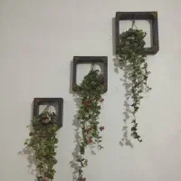 باکس