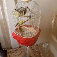 دو جفت مرغ عشق با قفس و وسایل