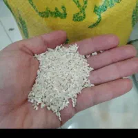 برنج سر لاشه عطری