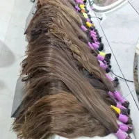 خریدار اصلی مو خریدارمو بزرگترین مرکز خرید مو