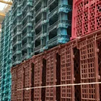 سبد میوه تک رج ودورج ۱کیلو‌تا۵کیلویی زیرقیمت بازار