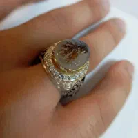 کلکسیون