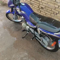 وایبیکس پلاک ملی