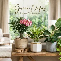 دیزاین فضای آپارتمان با گیاهان خاص .ارسال رایگان