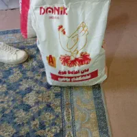 دان دانیک