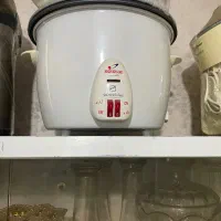 پلوپز و بخار پز سالم