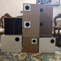 آغل گرینچیک طوطی ملنگو شاه طوطی