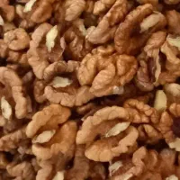 گردو|خوردنی و آشامیدنی|رشت, جهاد|دیوار