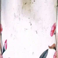 فلاکس چینی دوکاره (آب سرو و گرم)