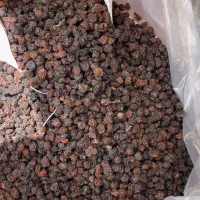 آلوچه ریز