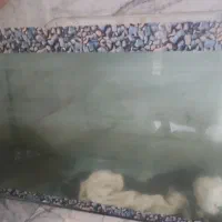 اکواریوم