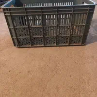 سبد ۲۰ کیلویی