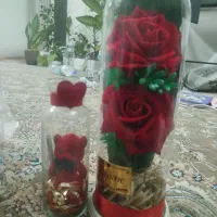 دوعددشیشه گل وخرس نوع
