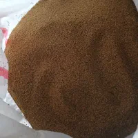 بذر یونجه