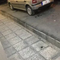 فلوکس گل سالم