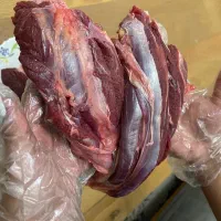 گوشت گوساله
