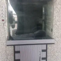 آکواریوم کمدی
