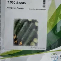 بذر خیار ویکتور