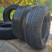 لاستیک دانلوپ