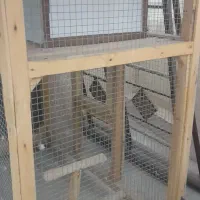 قفس چوبی ۵۰ در ۱۰۰