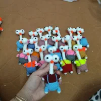 سرکلیدی مرغ خنگ