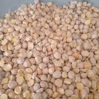 نخود شکسته فلافلی