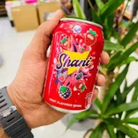 شانی اصل