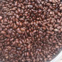 صبا|خوردنی و آشامیدنی|مسجد سلیمان, |دیوار