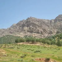 فروش یک هکتار زمین کشاورزی