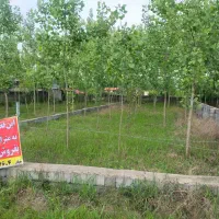 زمین مسکونی با سند اصلی تک برگ