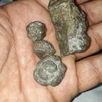 سنگ طلای معدن