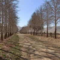 فروش باغ شهرک صنوف قاضی